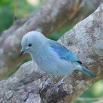 Latest News